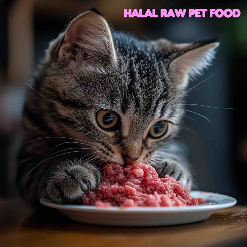 Halal Raw Pet Food Beef - 1