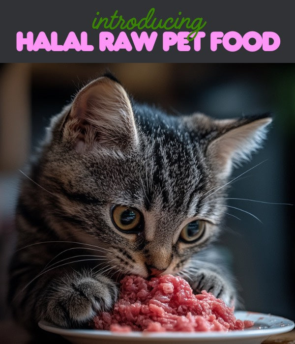 Halal Raw Pet Food - Mobile
