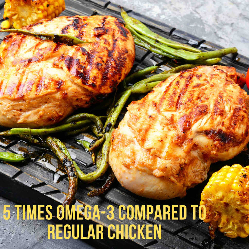 Zabiha Halal Omega-3 Chicken Breast - 1