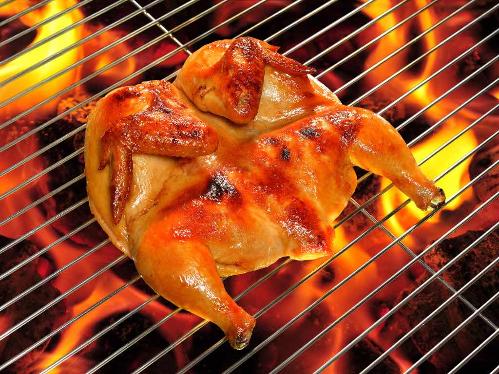 Can You Grill Frozen Chicken: Tips, Techniques, And Safety – One Stop Halal