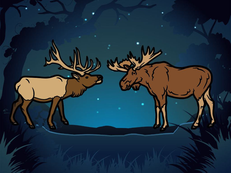 Savoring the Wild: A Deep Dive into Moose vs. Elk Meat – One Stop Halal