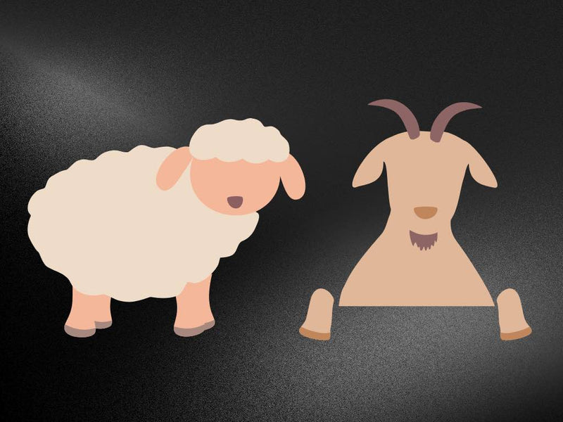 Lamb vs. Goat Meat Exploring the Differences and Delights One Stop Halal