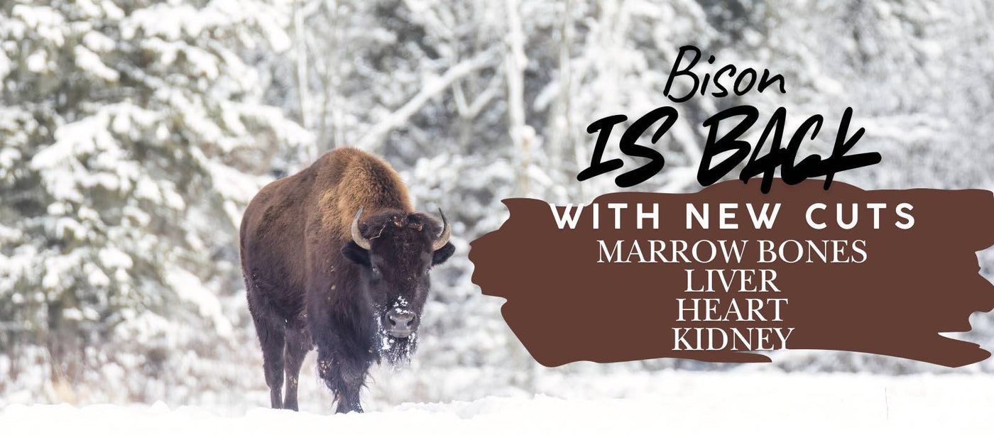 Bison is Back - Desktop