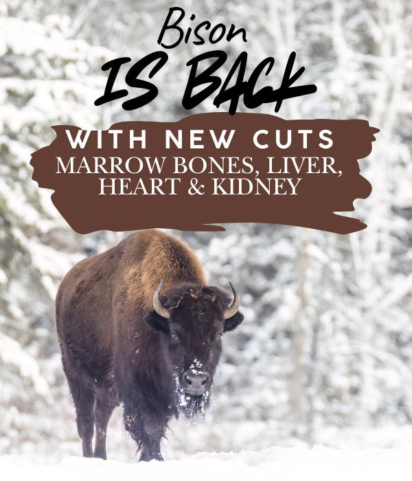 Bison is Back - Mobile