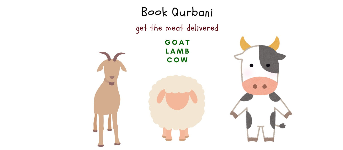 Book Qurbani - Desktop