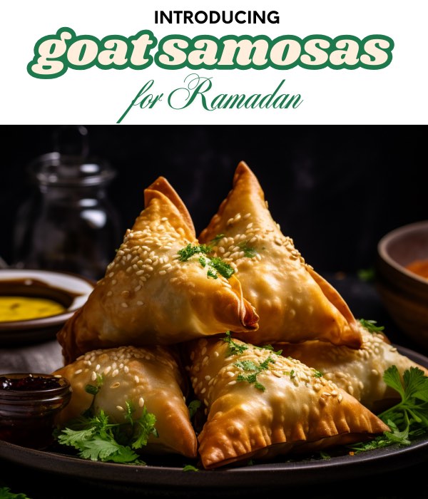 Goat Samosas - Mobile