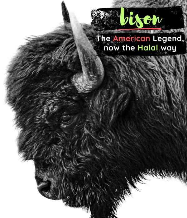 halal bison mobile hero image