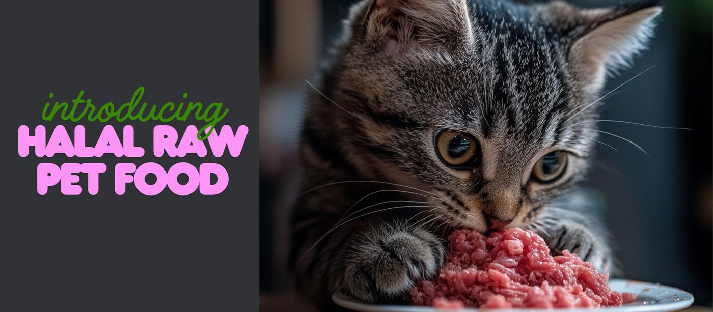 Halal Raw Pet Food - Desktop